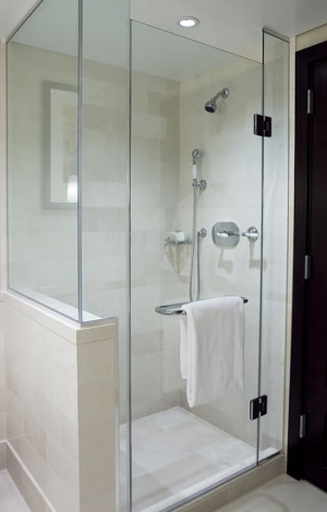 Manufacturers Exporters and Wholesale Suppliers of Frameless Shower Enclosure Delhi Delhi